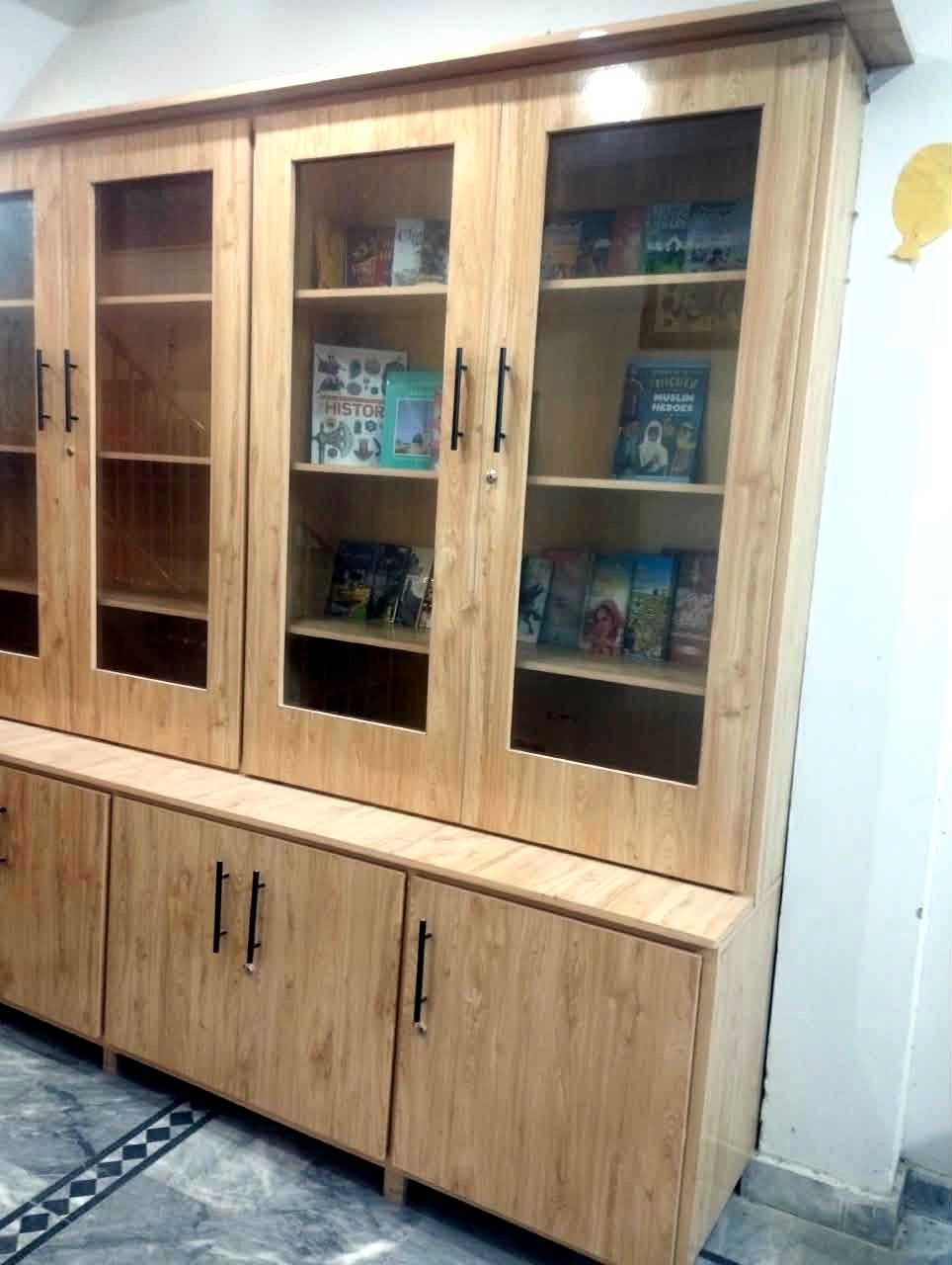 Glass-fronted library cabinets with books on display